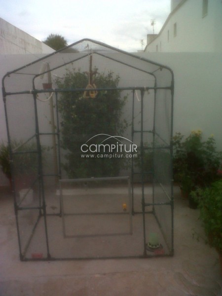 VENDO JAULA VOLADERA