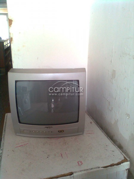 TELEVISION