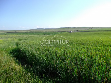 SE VENDE FINCA RÚSTICA