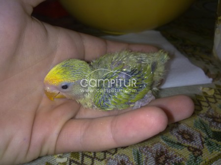 regalo de comunion