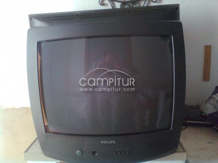 TELEVISION