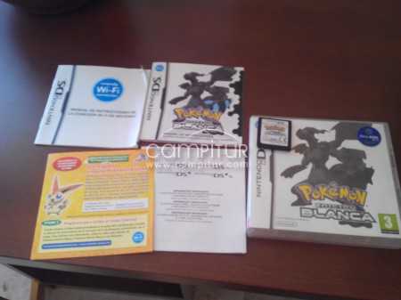 Juego NINTENDO DS