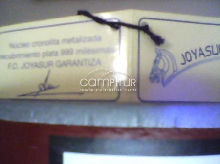 Foto 3 de escultura de plata