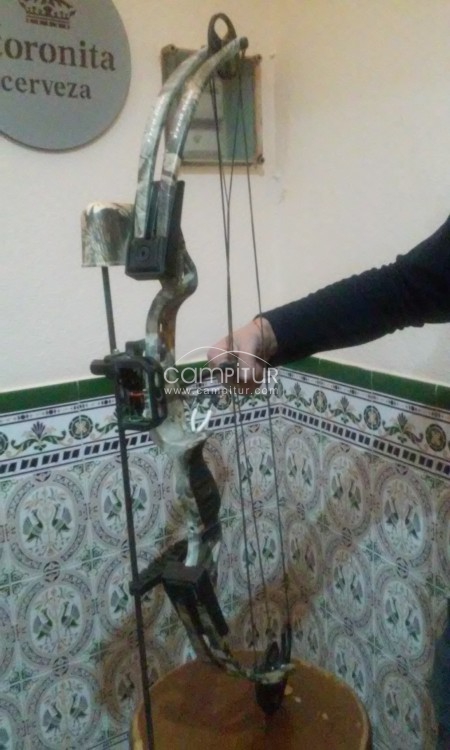 ARCO DE POLEAS