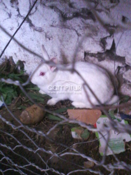 SE VENDE O SE CAMBIA