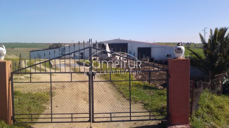 Se vende Explotación Porcina