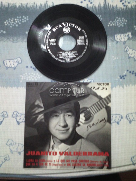 Discos de vinilos para coleccion.