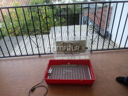 Foto 4 de Incubadora nacedora "Fien mod Haya aut"