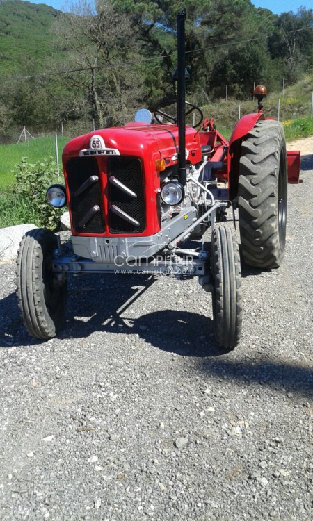 Foto 2 de Tractor Ebro Super 55 restaurado