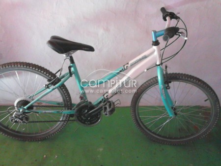 Bicicleta.