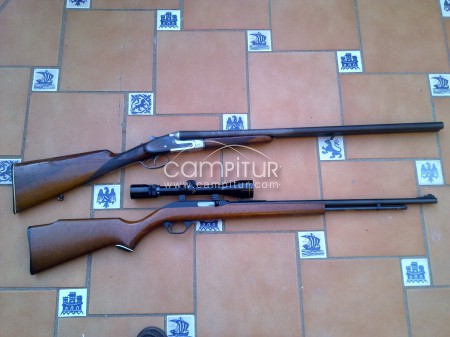 vendo carabina y escopeta