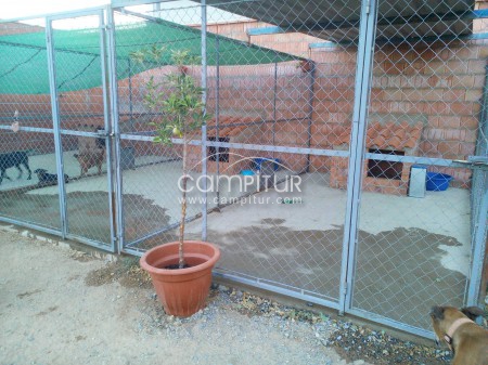 ¿Te vas de Vacaciones y no tienes con quien dejar a tu mascota? 