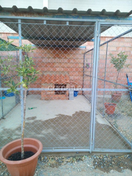 Foto 2 de ¿Te vas de Vacaciones y no tienes con quien dejar a tu mascota? 