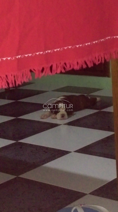 se vende