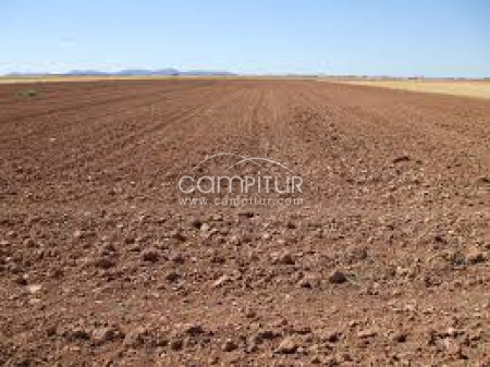compro tierra de labor de campiña o de olivar cerca de llerena