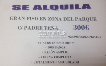 Se alquila gran piso en la zona del parque