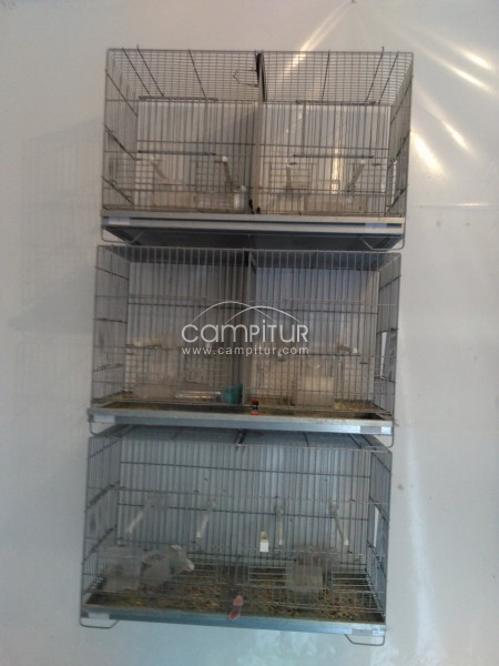 Foto 2 de se vende jaulas 