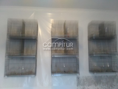 Foto 5 de se vende jaulas 
