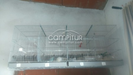 se vende o se cambia