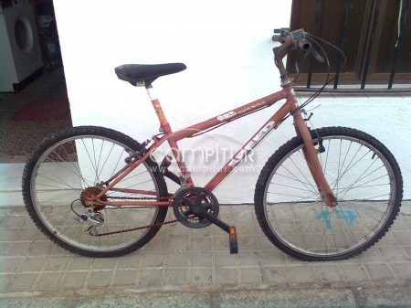 BICICLETA