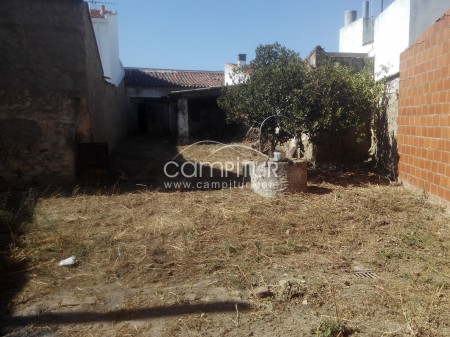 vendo o alquilo cochera con cuadra y huerto en Berlanga