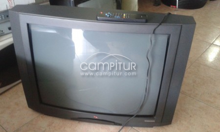 TELEVISOR 28 PULGADAS