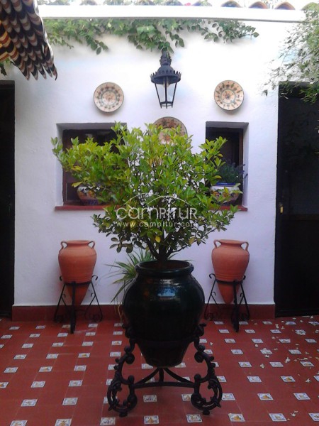 Foto 4 de Casa Fuente del Arco(Badajoz)