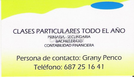 CLASES PARTICULARES TODO EL AÑO