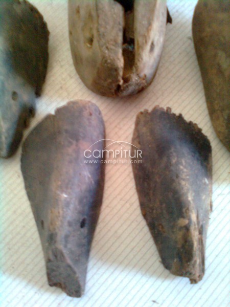 Foto 4 de HORMAS DE ZAPATOS
