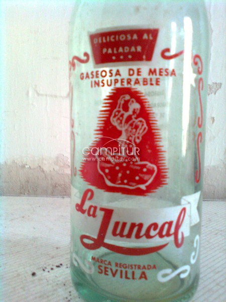 Foto 2 de BOTELLAS ANTIGUAS PARA COLECCIONISTAS O DECORACION 