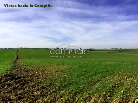 Foto 2 de Venta de Parcela.