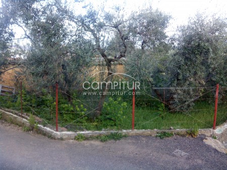 Venta de casa en Fuente del Arco.