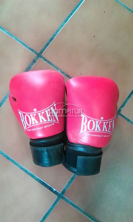 Guantes kick boxing y paoks