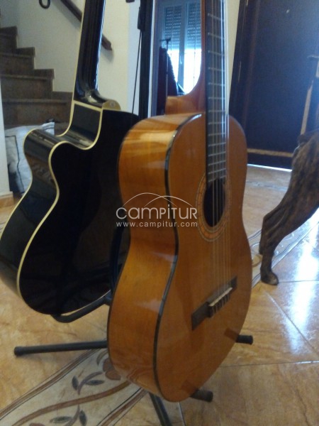 SE VENDEN  2 GUITARRAS Y ACCESORIOS
