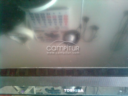TELEVISION