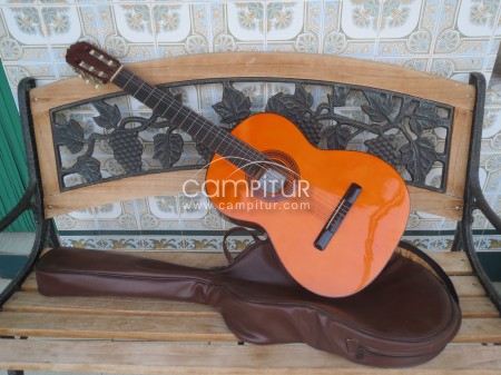 GUITARRA FLAMENCA BANUS