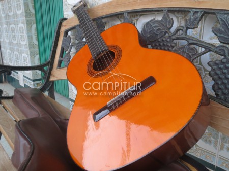 Foto 2 de GUITARRA FLAMENCA BANUS