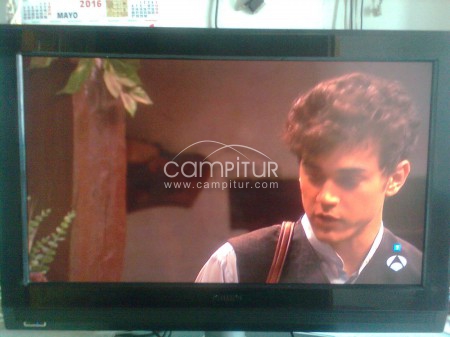 Televisor de pantalla plana 