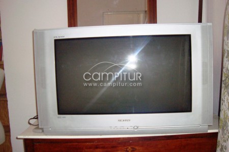 Vendo televisor Samsung