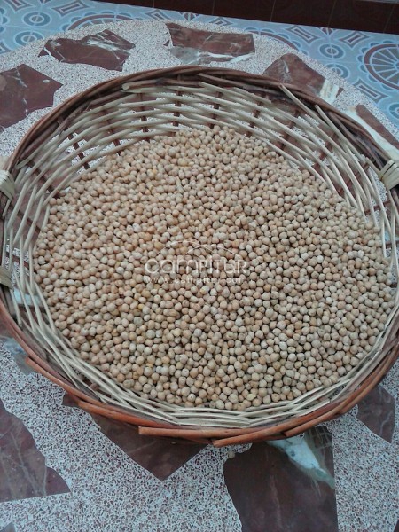 Vendo Garbanzos