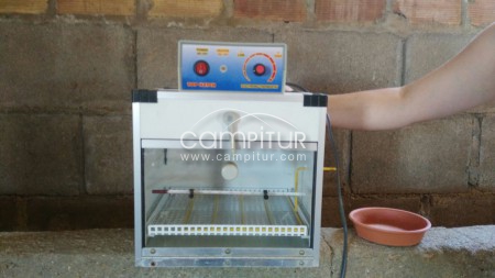 Vendo incubadora