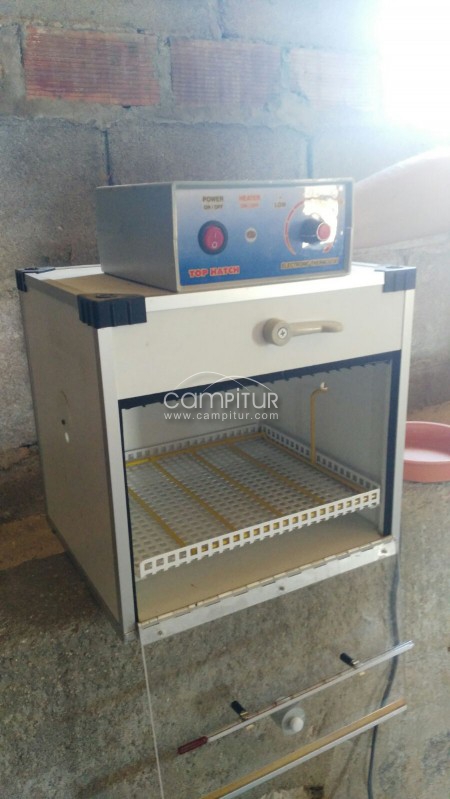 Foto 2 de Vendo incubadora