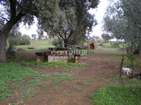 CORTIJO NUEVO CON PARCELA VALLADA