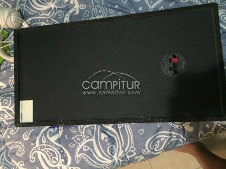 Altavoces de 100w cada uno