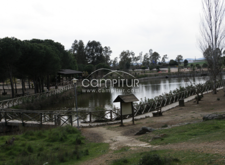  VENTA DE TERRENO EN BERLANGA