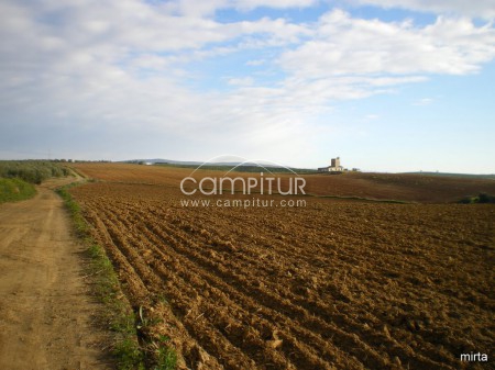 Foto 2 de SE VENDE FINCA