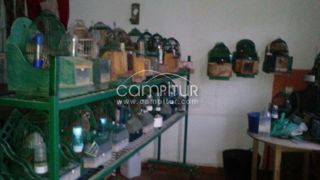 Venta de perdices para la caza con reclamo