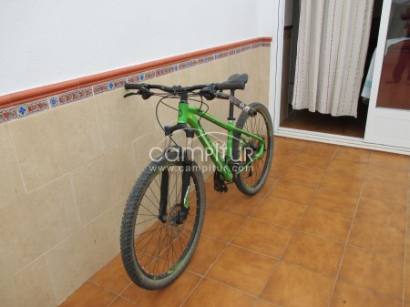 Orbea MX20