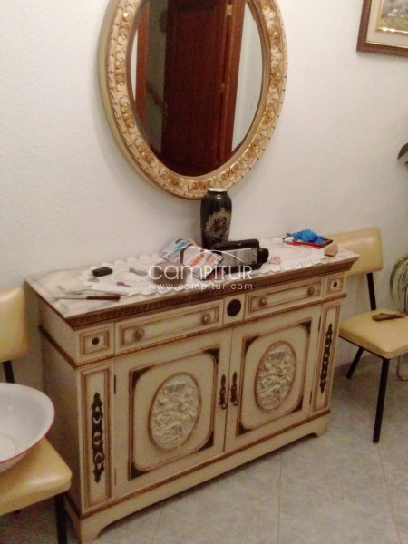 Se vende entradita