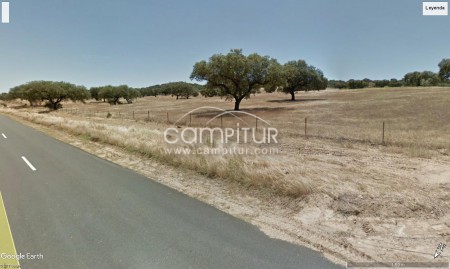 VENTA PARCELA RÚSTICA EN AZUAGA